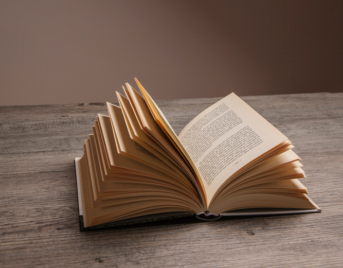 صورة البرنامج